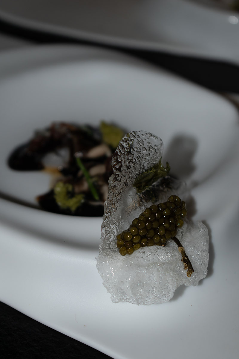 Cocinera Paula Gutiérrez entrevista: un plato con caviar