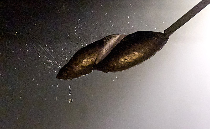Lengua en Coro, Cuenta - una instalación de Cristina Mejías