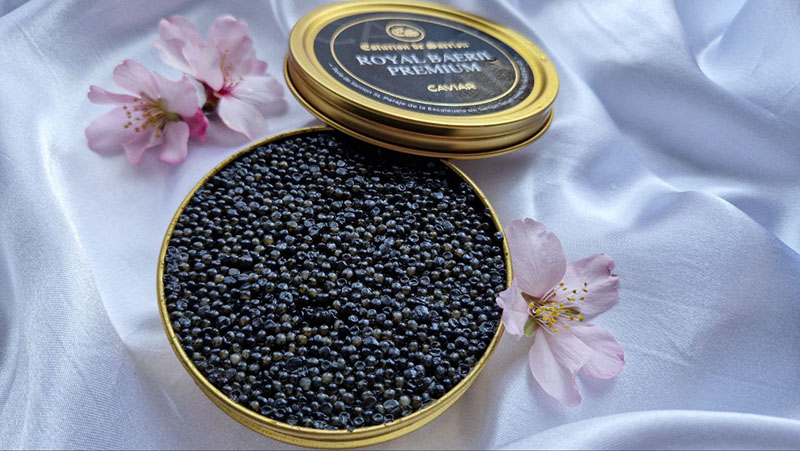 Esturión de Sarrión lleva el caviar de Teruel por Europa