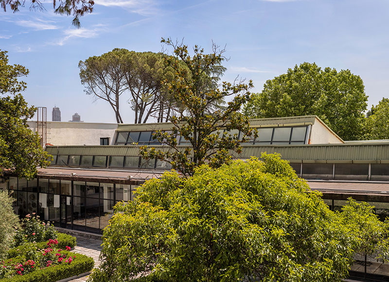 Exposición Las Ferias del Campo Museo ICO: actualidad Casa Campo- Foto Luis Asín