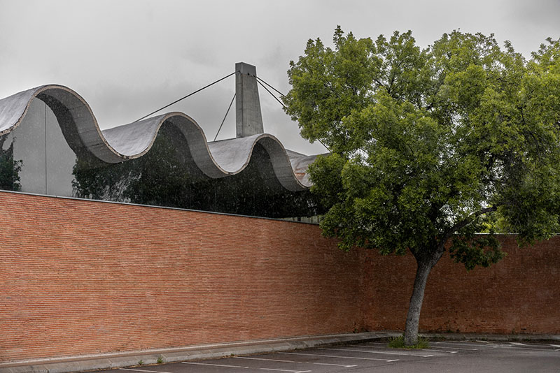 Exposición Las Ferias del Campo Museo ICO: actualidad Casa Campo- Foto Luis Asín