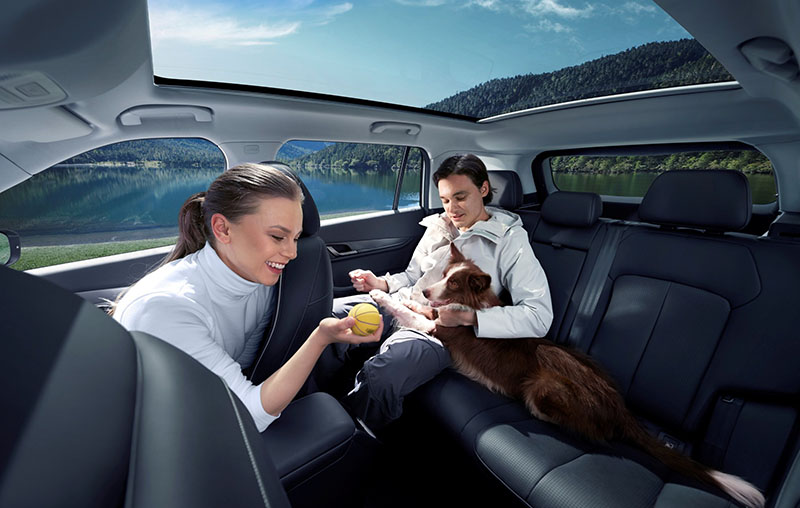 El Jaecoo 5 será el coche oficial del Perrotón Madrid 2025