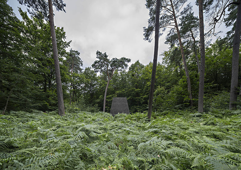 Premios Coam 2025: el Premio de Arquitectura Efímera reconoció Compluvium, de P+S Estudio de Arquitectura, de P+S Estudio de Arquitectura