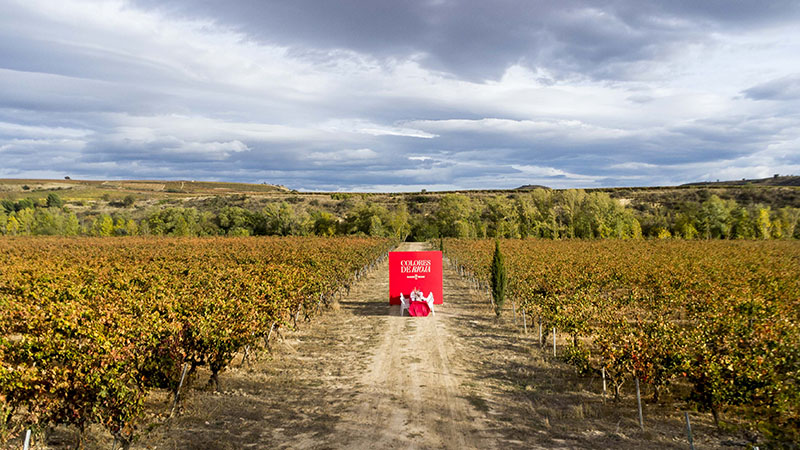 Viñedos de Ramón Bilbao en la finca Los Aguilones, escenario principal de Colores de Rioja