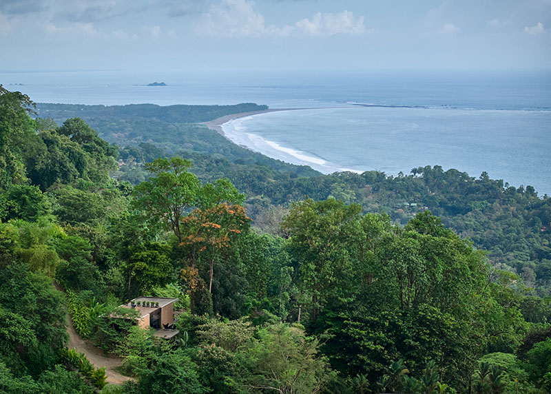 Studio House, de Formafatal: vivir la selva desde dentro