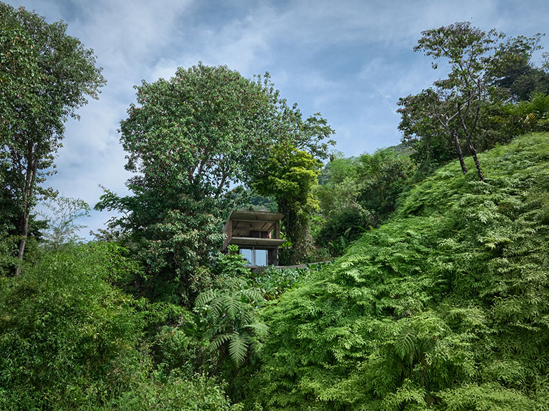 Studio House, de Formafatal: vivir la selva desde dentro