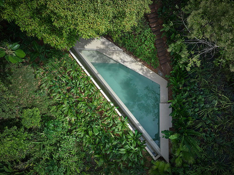 Studio House, de Formafatal: vivir la selva desde dentro