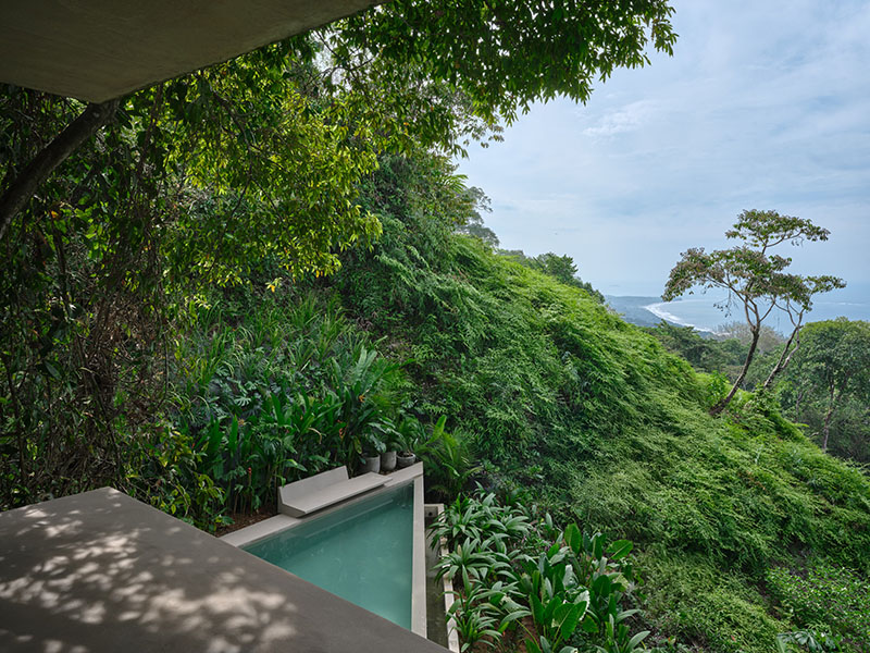 Studio House, de Formafatal: vivir la selva desde dentro