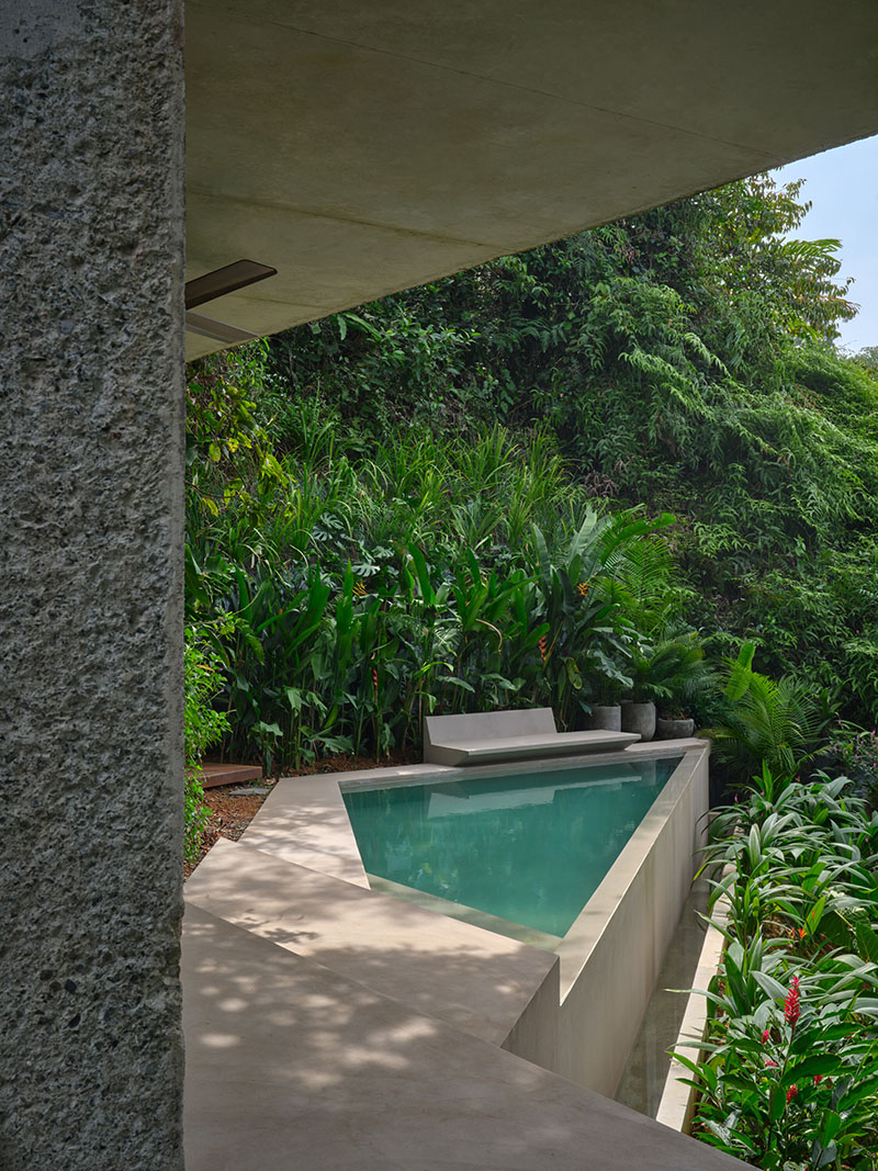 Studio House, de Formafatal: vivir la selva desde dentro
