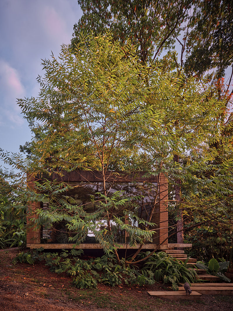 Studio House, de Formafatal: vivir la selva desde dentro
