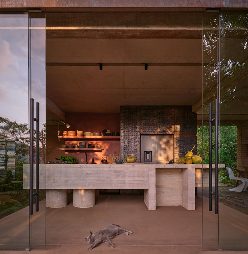 Studio House, de Formafatal: vivir la selva desde dentro