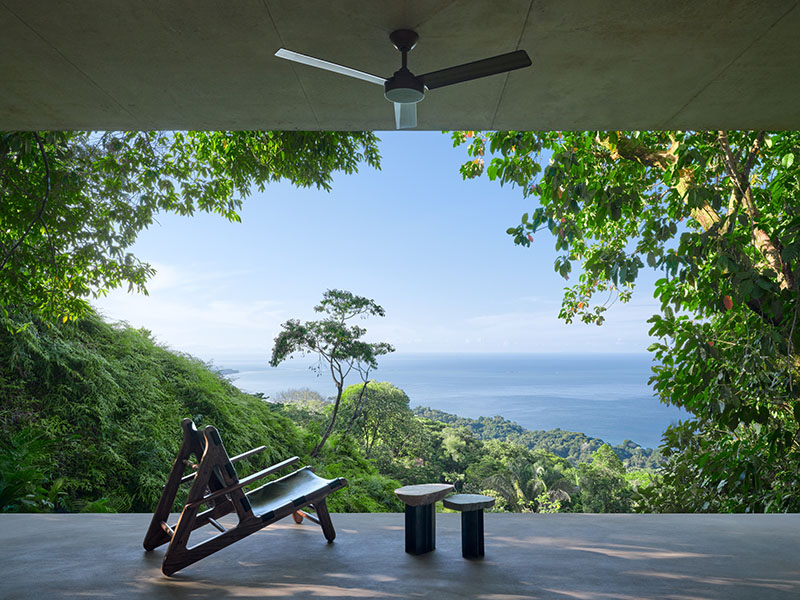 Studio House, de Formafatal: vivir la selva desde dentro