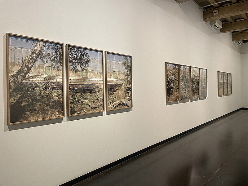 Vista de la exposición "Desplazamientos" en la galería Senda