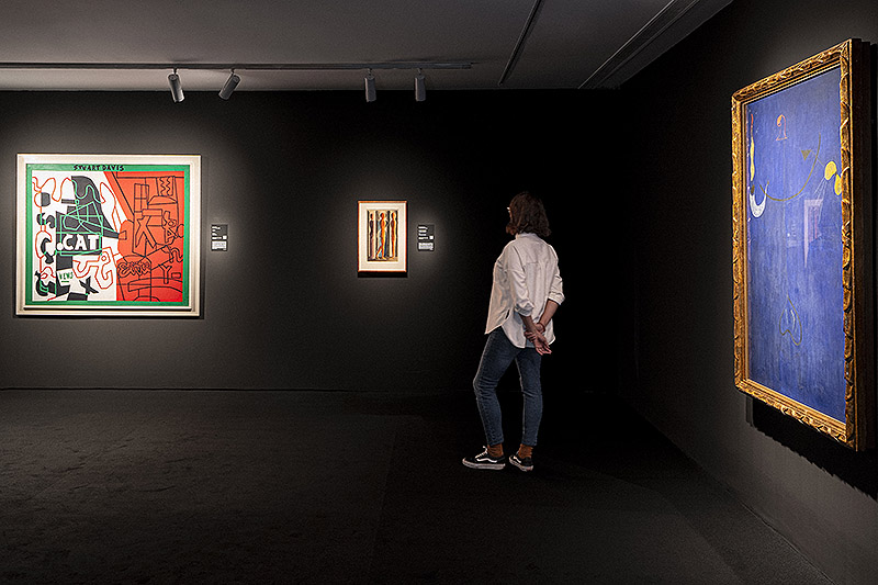 Vista de la videoinstalación