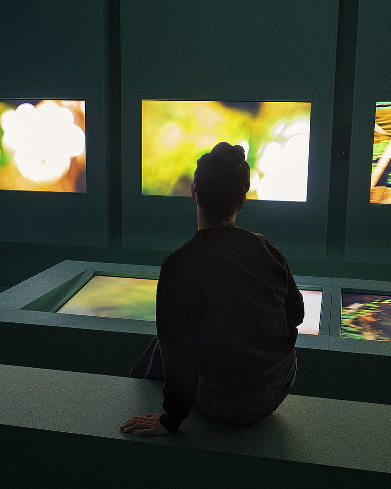 Vista de la videoinstalación