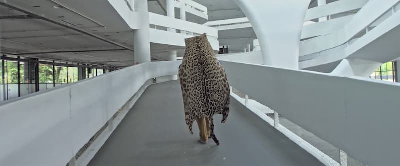 Loop 2025, espejismos y cine de artistas en Barcelona