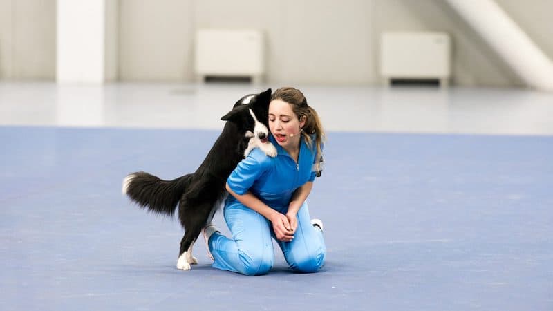 Loop 2025, espejismos y cine de artistas en Barcelona