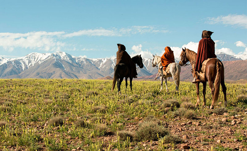 Olive Laxe - fotograma de pelicula