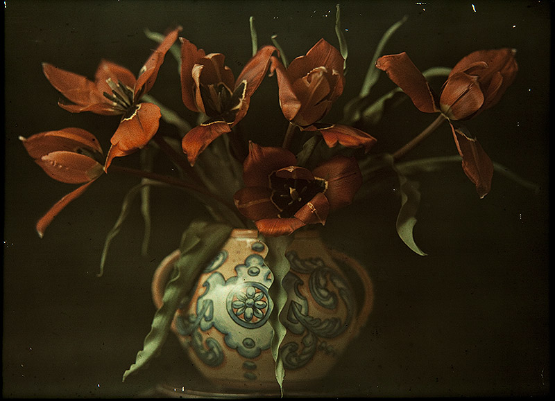 Rodoreda, un bosque - flores rojas en un jarrón