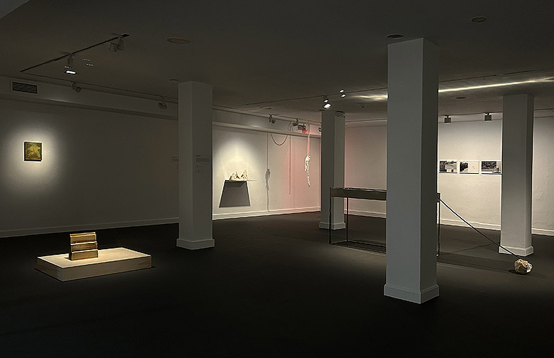 Vacío Ritual, Rito Pleno - vista de la exposición en la sala Amadís