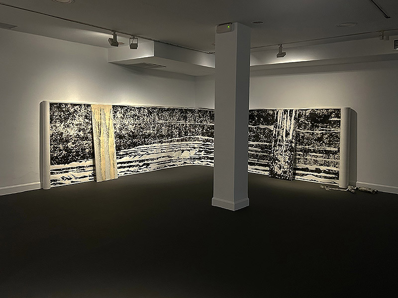 Vacío Ritual, Rito Pleno - vista de la exposición en la sala Amadís