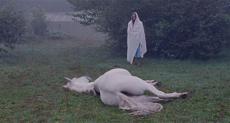 Aro Berria - fotograma de la película