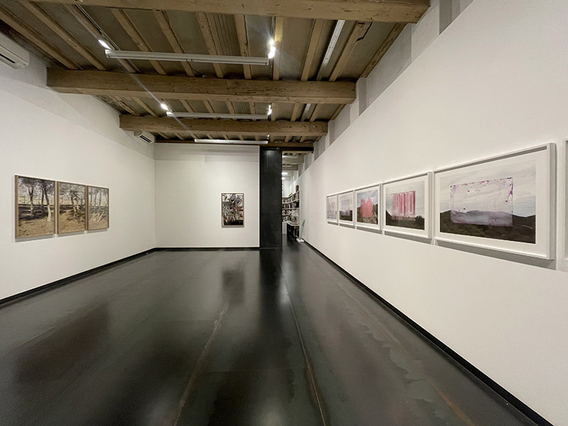 Vista de la exposición "Desplazamientos" en la galería Senda