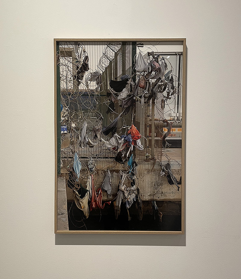 Vista de la exposición "Desplazamientos" foto de paisaje mediterraneo