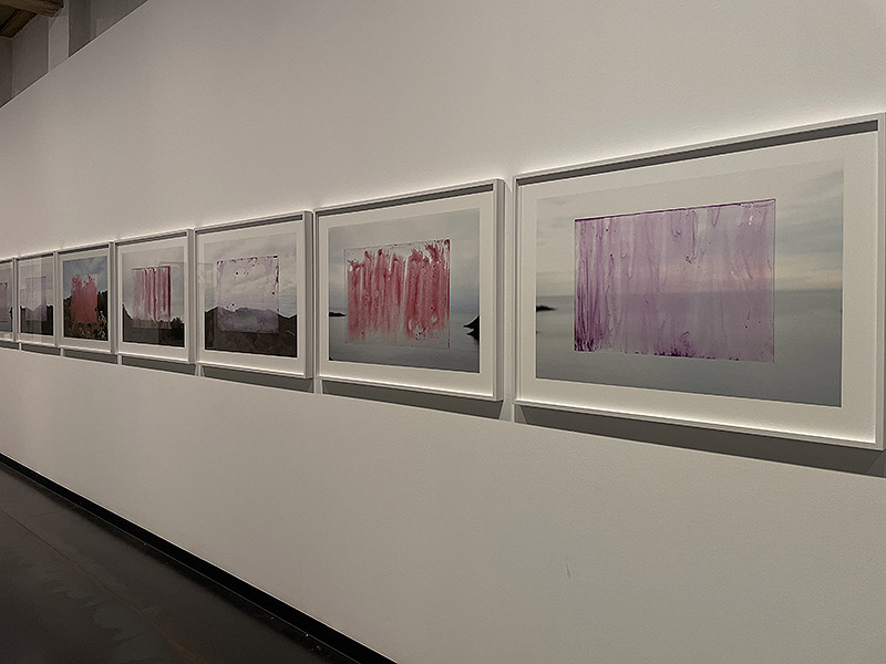 Vista de la exposición "Desplazamientos" en la galería Senda