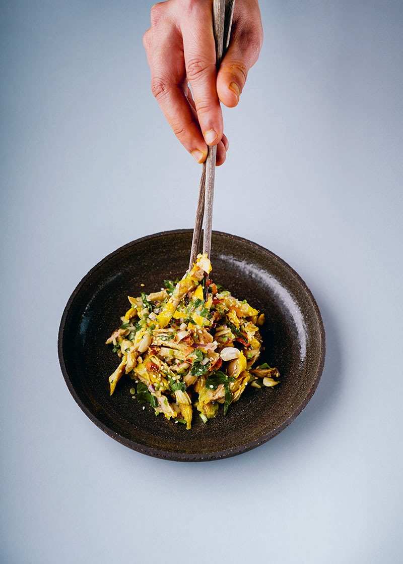 Libro de gastronomía china, rectas e historia. un plato de vegetales