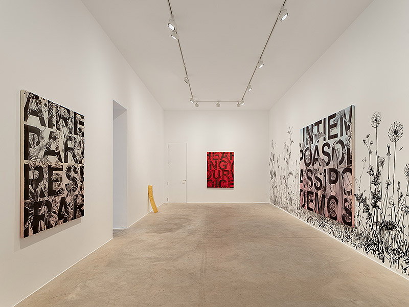 Iván Argote - vista de la exposición en la galería Albarran Bourdais