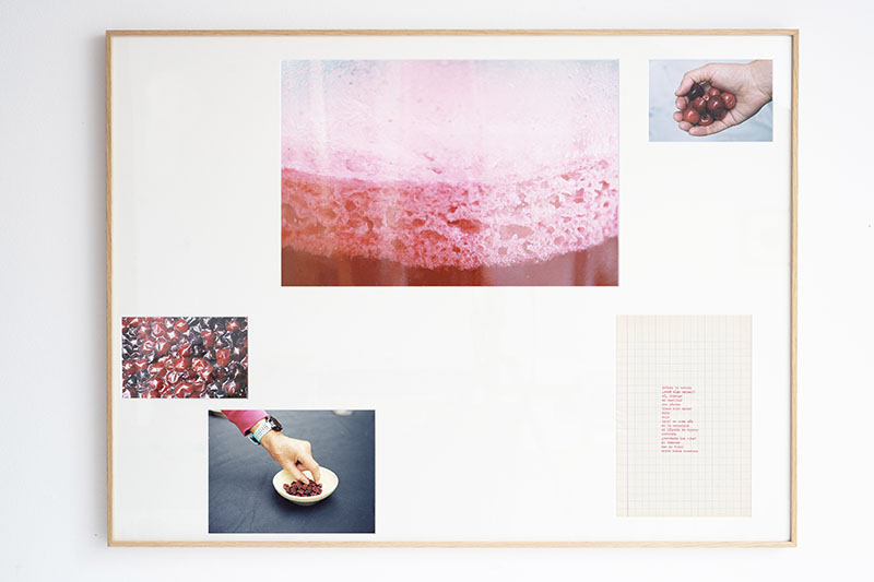 Sara García documenta la hospitalidad a través de una composición fotográfica que reúne imágenes del proceso de fermentación y de la manipulación de frutos rojos