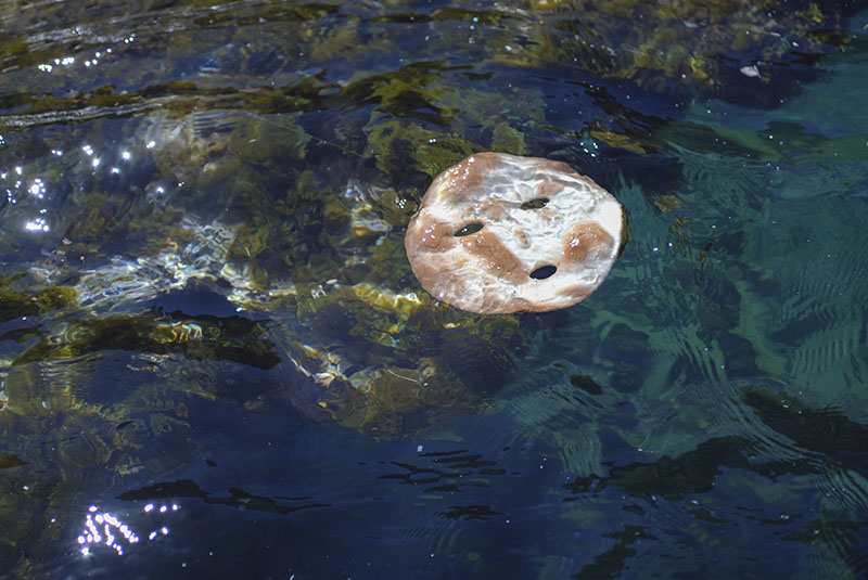 Sara García conecta la hospitalidad con un pan circular flotando sobre el agua