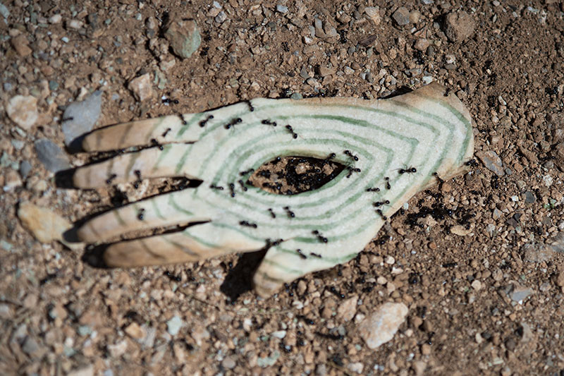 Sara García relaciona la hospitalidad con una pieza en forma de mano situada en el suelo y cubierta por hormigas