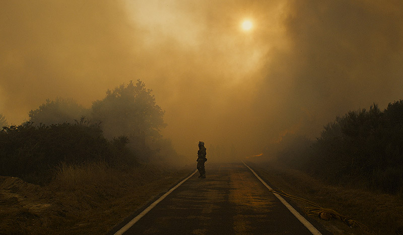 El rugir de las llamas: caballos, fuego y vida en el límite