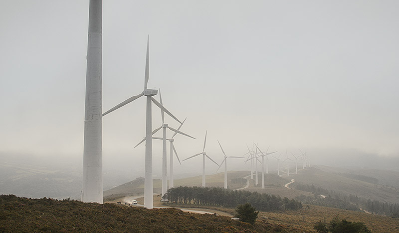 El rugir de las llamas: caballos, fuego y vida en el límite