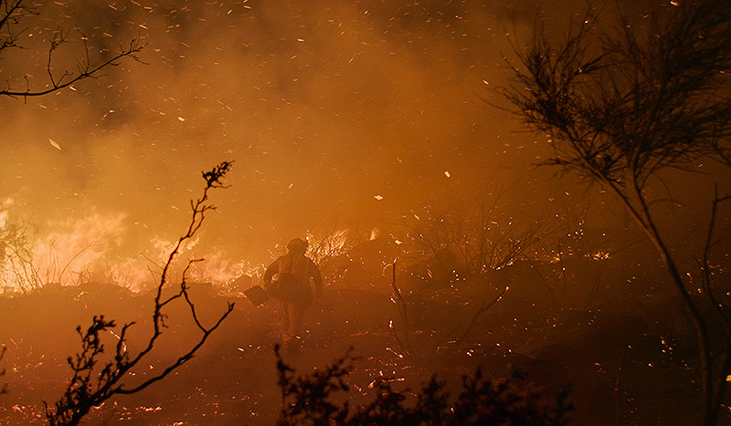 El rugir de las llamas: caballos, fuego y vida en el límite