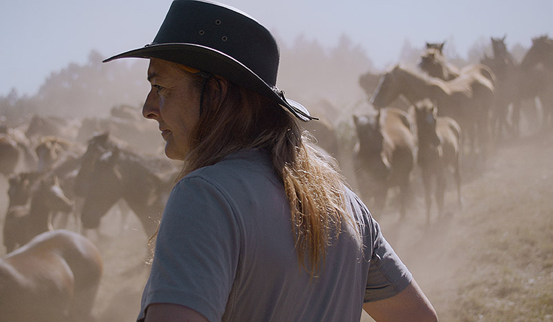 El rugir de las llamas: caballos, fuego y vida en el límite