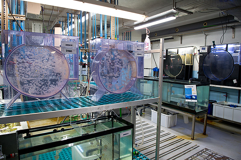 Imagen de unos centros científicos que colaboran.