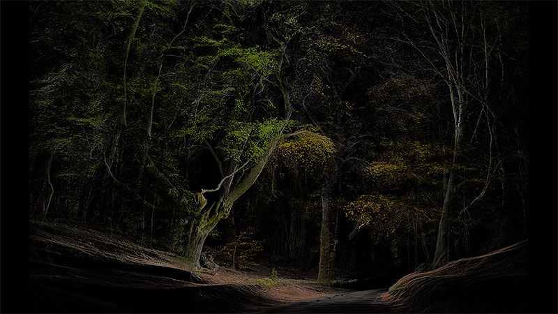 Framerate: Pulse of the Earth - imagen de paisaje creada a partir de escaneado 3D