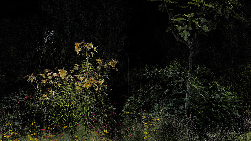 Framerate: Pulse of the Earth - imagen de paisaje creada a partir de escaneado 3D