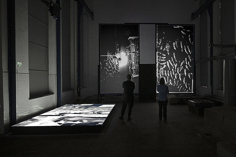 Framerate: Pulse of the Earth - imagen de instalación inmersiva