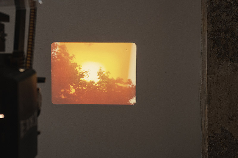 Proyección de la exposición