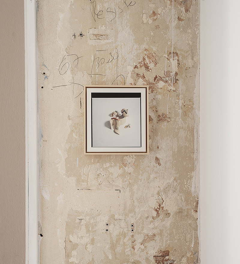 Detalle de la exposición