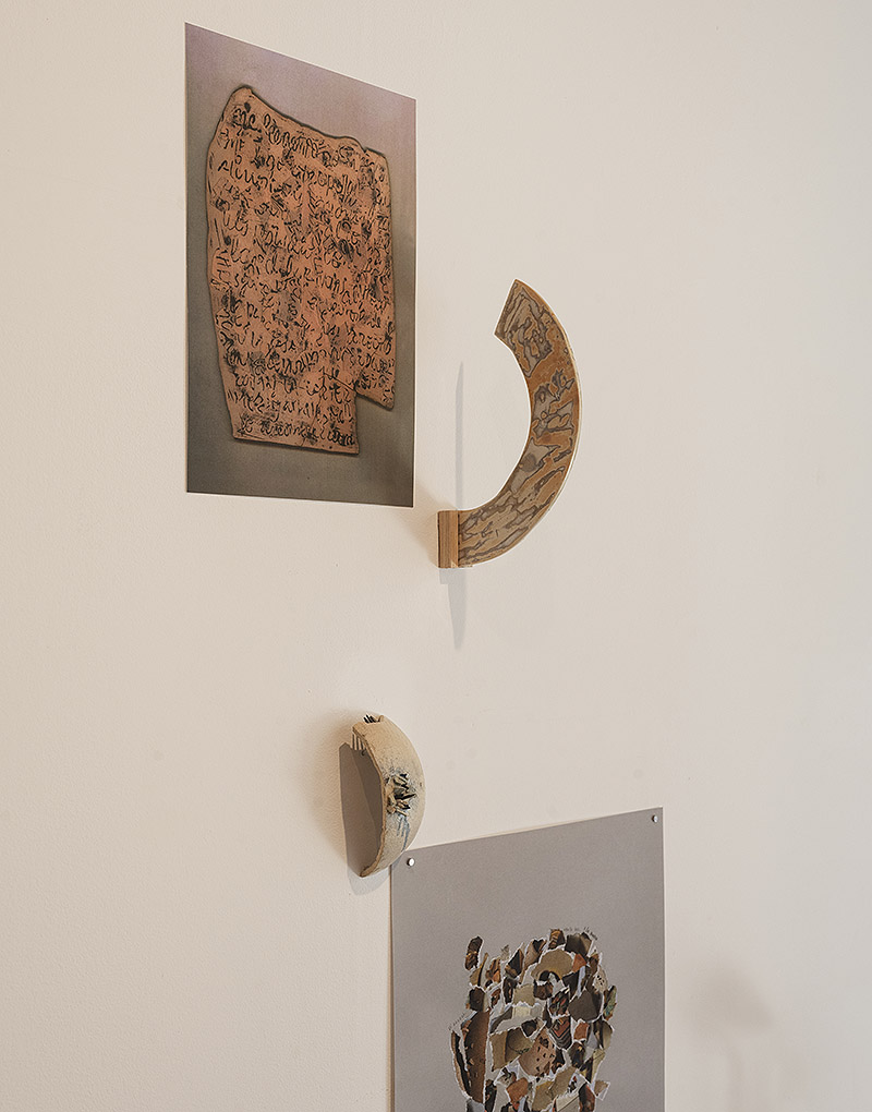 Vista de detalles de la exposición