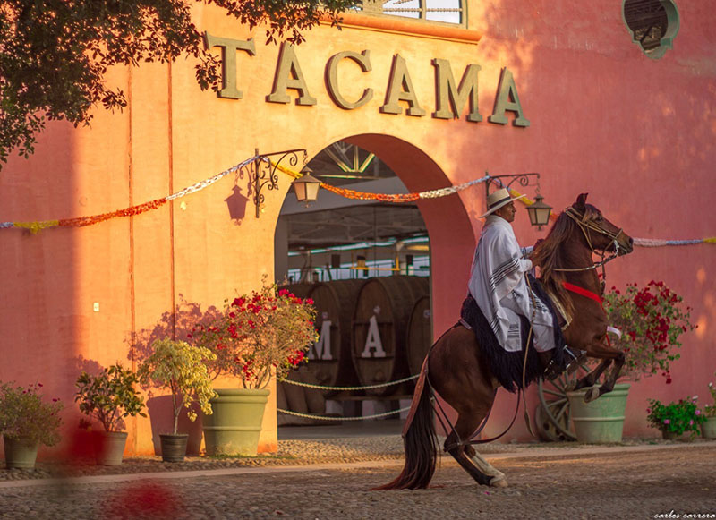 Demonio de los Andes: el pisco que más se toma en España