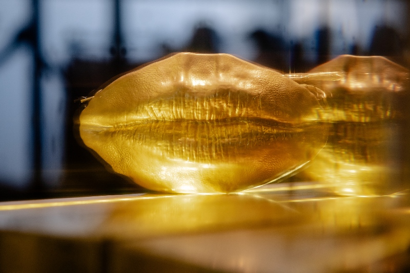 El vestido de Schiaparelli y Dalí guía a Daniel Roseberry