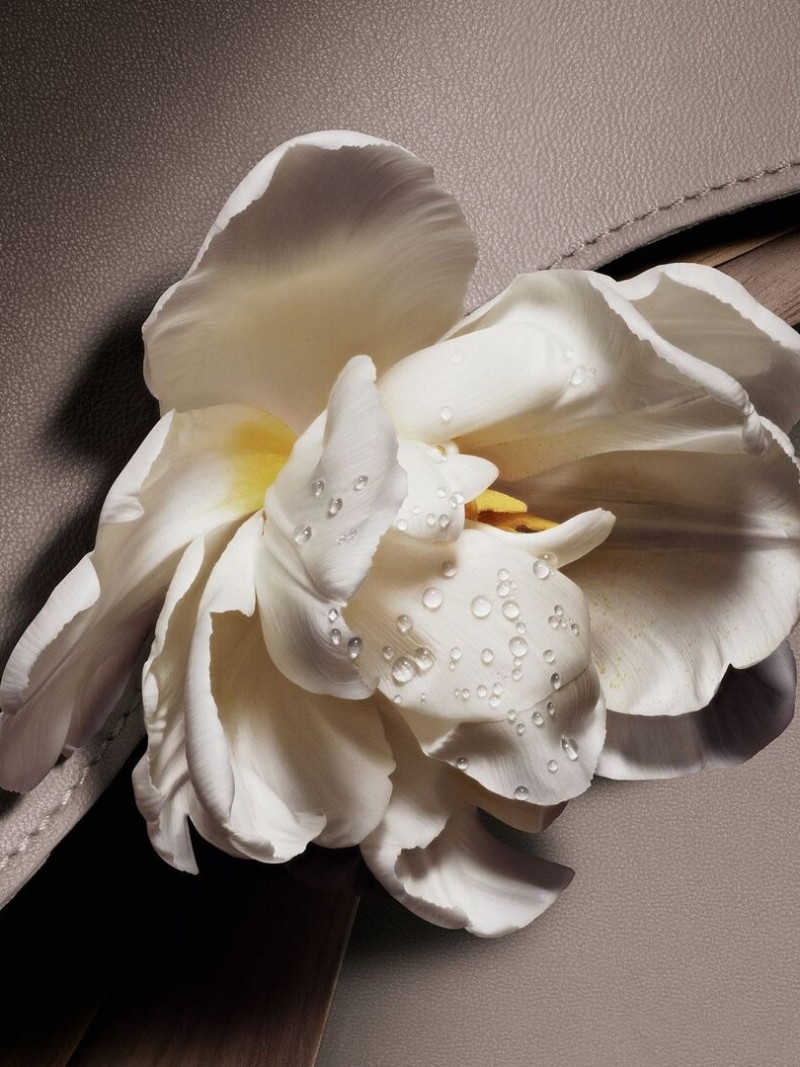 El nuevo Cuir Saddle de Dior huele a cuero, pero moderno