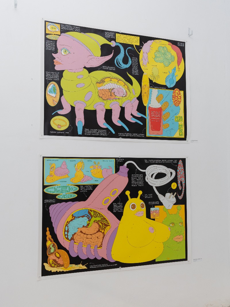 exposición arte visual madrid charlie smits