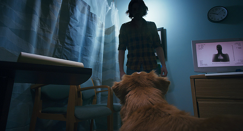 Good Boy: el fenómeno canino que redefine el cine de terror